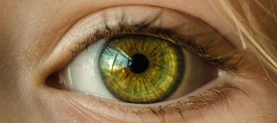 closeup of woman's light green eye