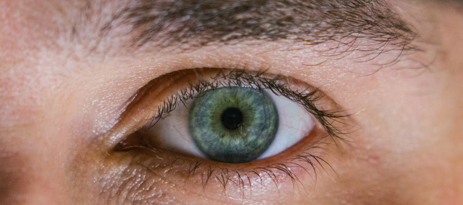 closeup of blue human eye