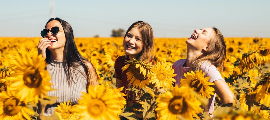 young women in sunflower field seen from the waist up laughing happily