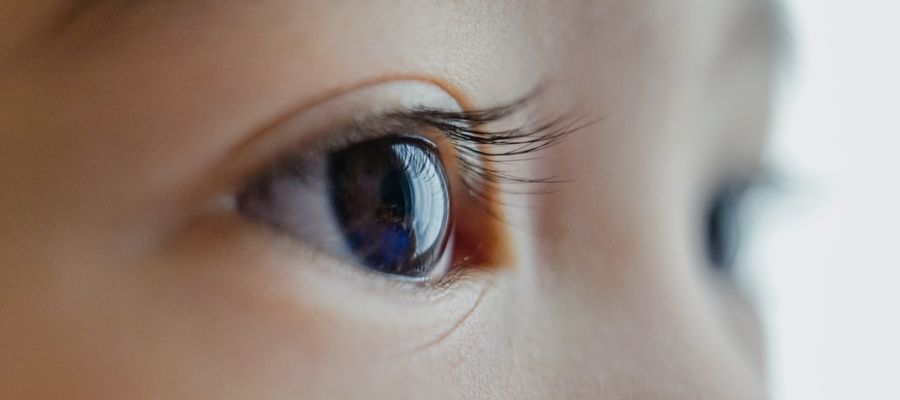 closeup up a child's eye