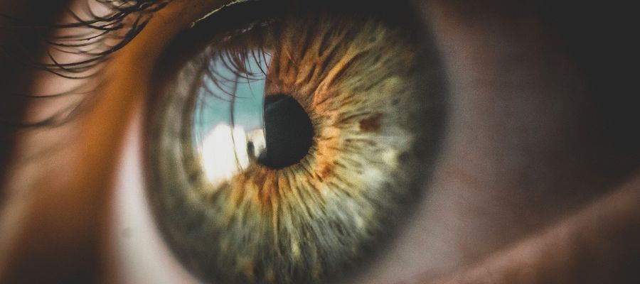 closeup of human eye