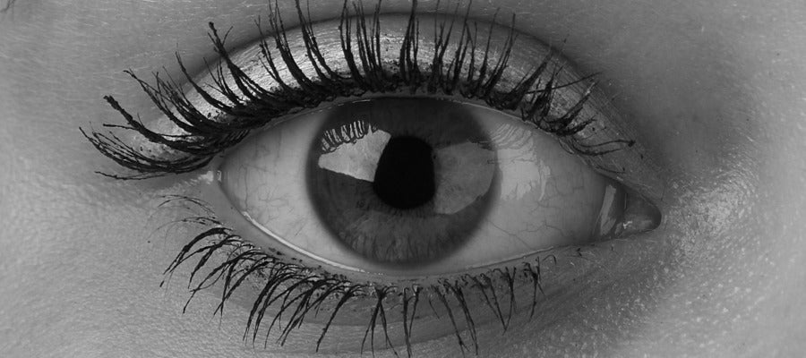 closeup of human black and white eye
