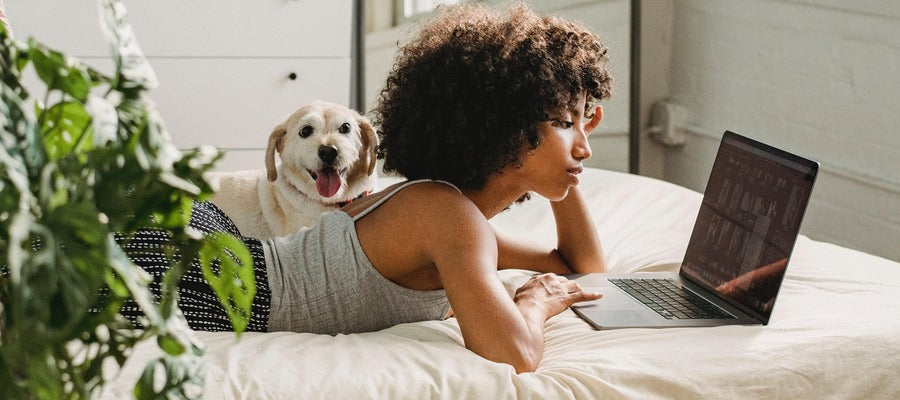 woman with Afro hairstyle lying in bed looking into computer screen supporting head in hand and with white dog in the background