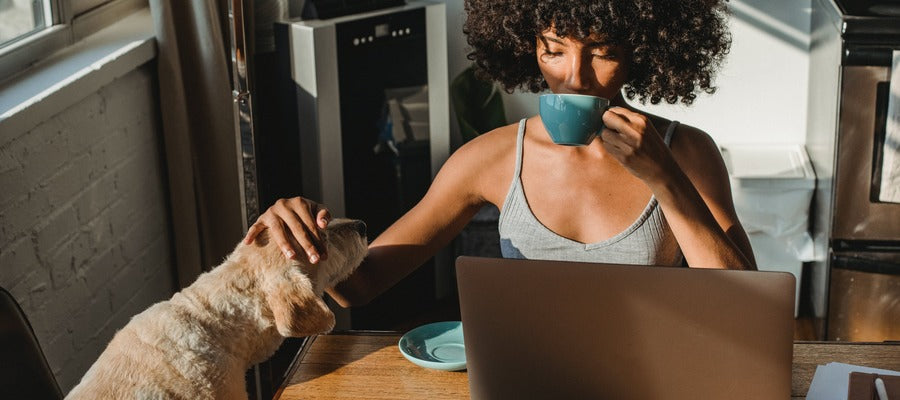 woman with Afro hairstyle sitting at desk drinking coffee before laptop while patting dog on the chair next to her