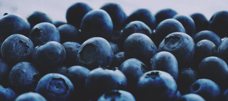 blueberries heaped together seen from up close
