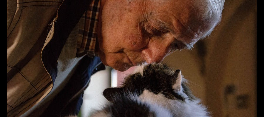 closeup of old man with diabetes and dry eyes touching noses with his black and white cat